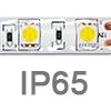 IP65