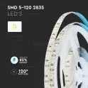 12W 2835 120 LED Strip With SAMSUNG Chip 4000K IP20